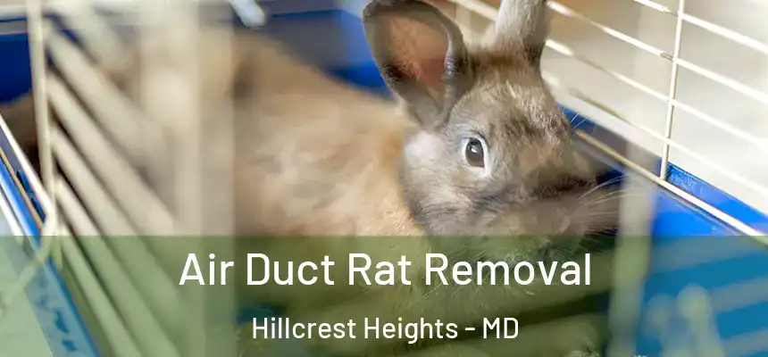  Air Duct Rat Removal Hillcrest Heights - MD