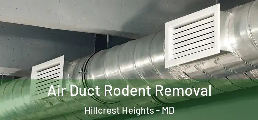  Air Duct Rodent Removal Hillcrest Heights - MD