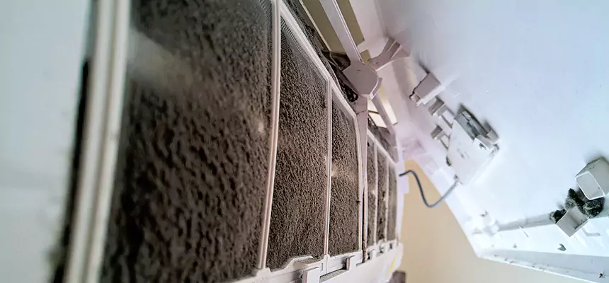 Preventive Air Duct Bacteria Removal in Hillcrest Heights