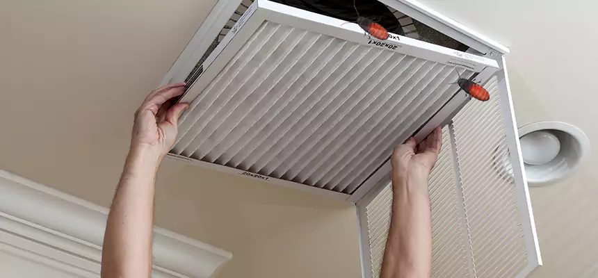 Preventive Cockroach-Proofing for Ducts in Hillcrest Heights