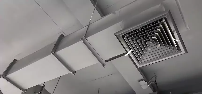 Our Pest Removal From Ducts Services in Hillcrest Heights, MD