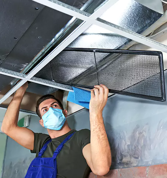 About Air Duct Bacteria Removal in Hillcrest Heights
