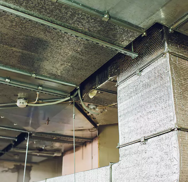 Why Homeowners & Businesses Trust Us in Hillcrest Heights, MD?